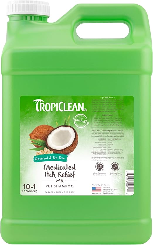 tea tree medicated shampoo