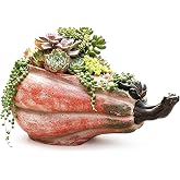 EIEBLEI 14'' Pumpkin-Shape Succulent Planter, Retro Rural Home Decoration | Planter with Handle, Sturdy &amp; Durable,Lightweight &amp; Easy to Move, Good Breathability, Suitable for Courtyard Decoration