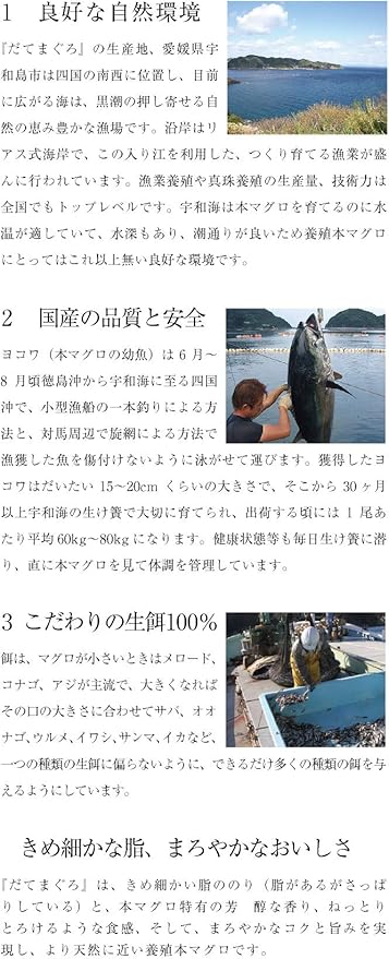 Amazon 国産本マグロ 伊達まぐろ 中トロ 解凍レシピ付き 海鮮丼 300g マグロの吉井 魚介類 水産加工品ギフト 通販
