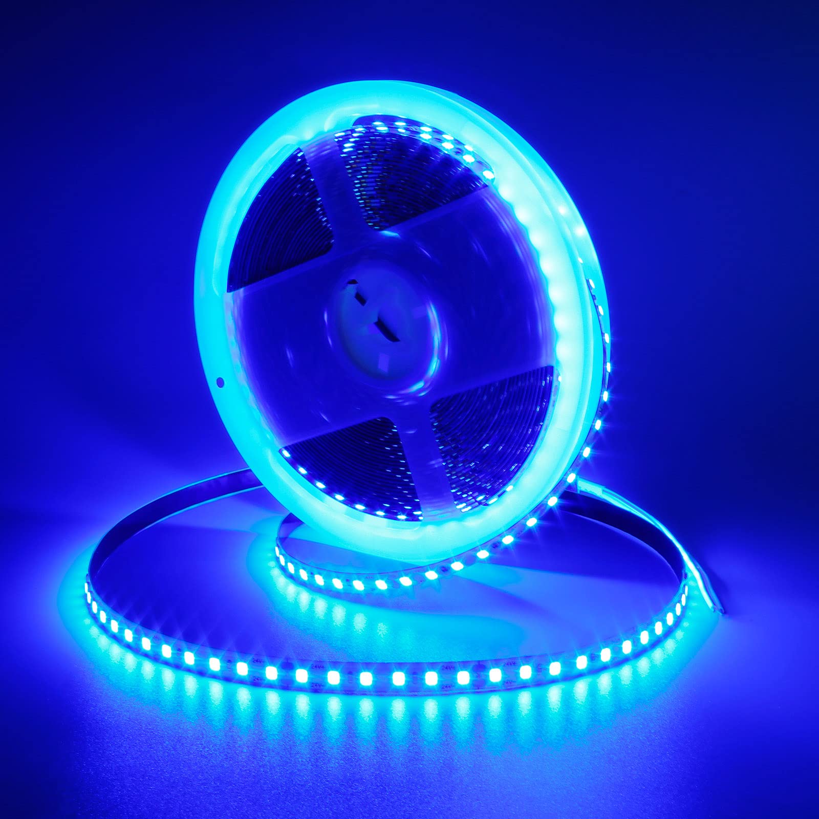 GOMING DC 24V 32.8ft(10M) Blue LED Strip Light 1200LEDs SMD2835 90W High Brightness No-Waterproof IP20 Flexible Ribbon for Garden Backyard Hallways Stairs Decoration Lighting(No Power Supply) — image 1
