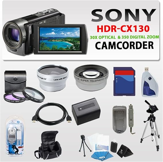 Sony Hdrcx130 (30x Optical and 350x Digital Zoom