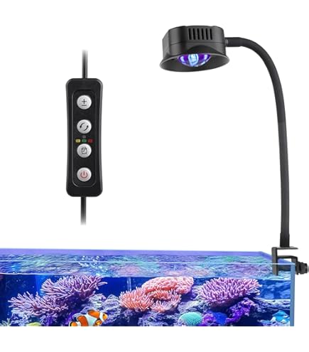 Amazon.com: Kessil Tuna Blue A80 LED Light KSA80-TB : Pet Supplies