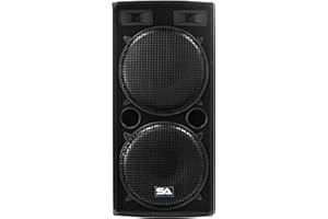 Seismic Audio - Dual 15 Inch PA DJ SPEAKER 500 Watts PRO AUDIO - Band, Bar, Wedding, Church