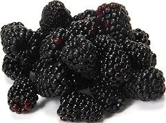 Organic Blackberries, 6 oz