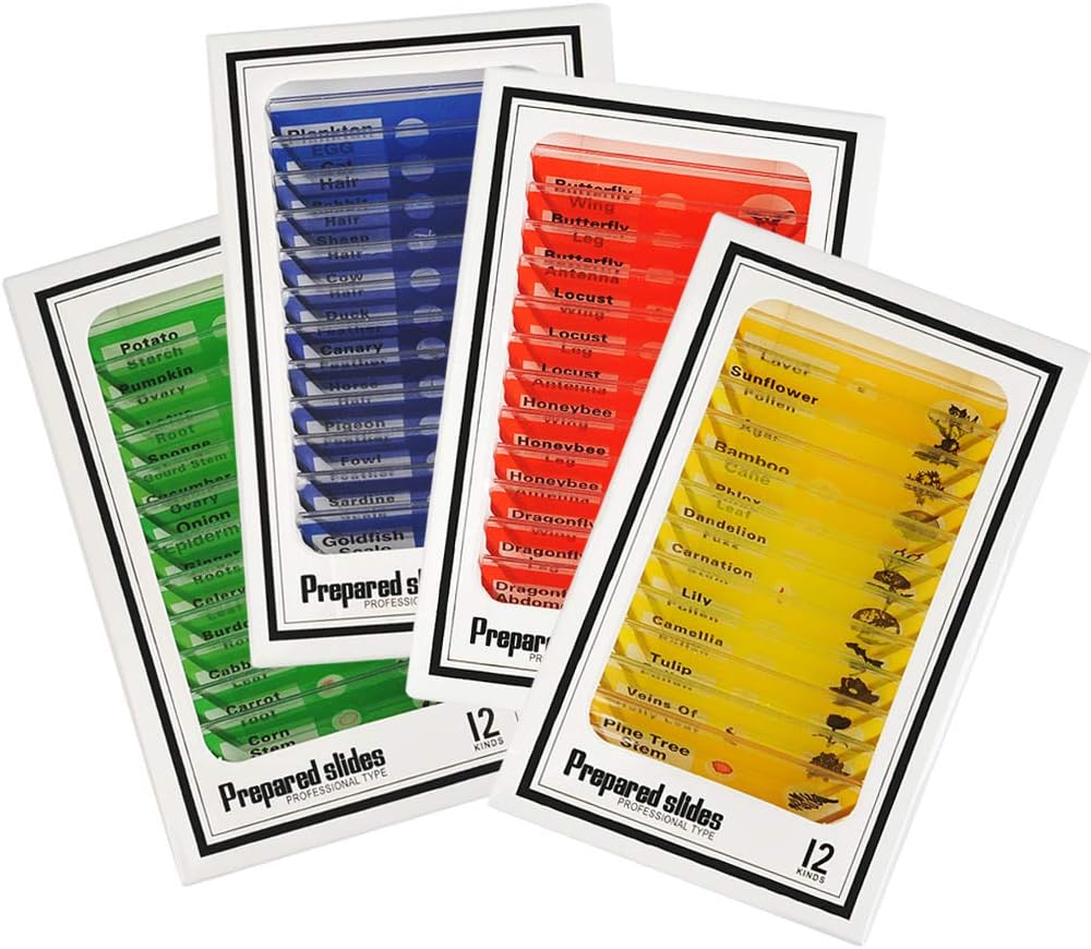 Amazon Com Yotino 48pcs Prepared Microscope Slides Specimen Animals Insects Plants Flowers Sample Biological Specimen Stereo Microscope Slide For Kids Children Students Enlighten Education Toys Games