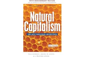 Natural Capitalism: The Next Industrial Revolution