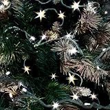 The Christmas Workshop 100 LED Warm White Lights 9.9m Battery Operated view 6