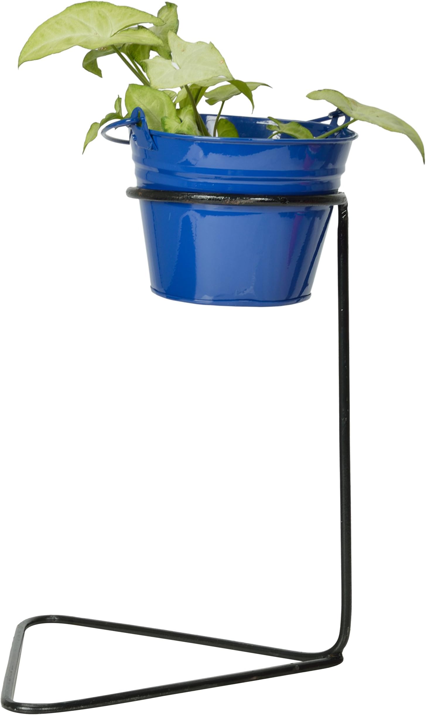 Green Gardenia Iron Table Top Plant Stand with GI Metal- Planter (Dark Blue)