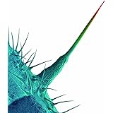 And I'll Scratch Yours