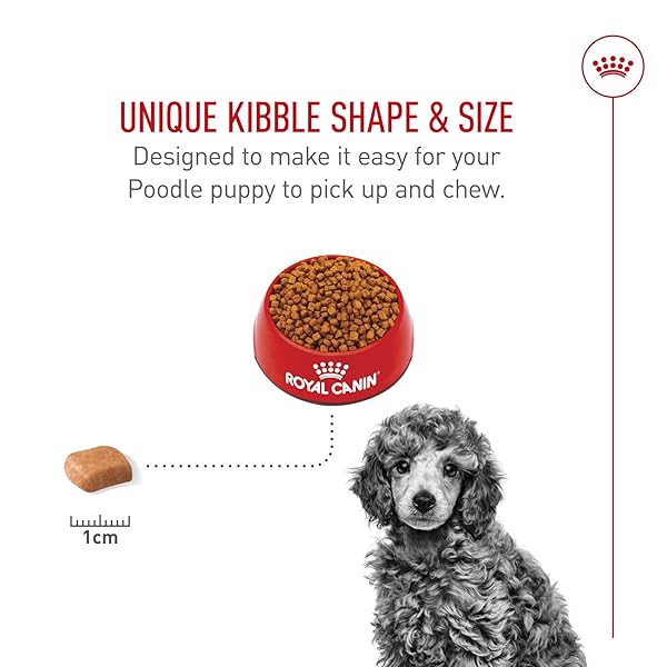 ROYAL CANIN BREED HEALTH NUTRITION POODLE PUPPY DRY DOG FOOD, 2.5 LB BAG