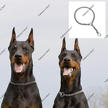 Petlicious & More Chrome Plated Dog Choke Chain Training Collar -22 Inch/1.5 cm Thick