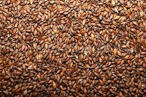 Roasted Barley by Briess, 1 lb