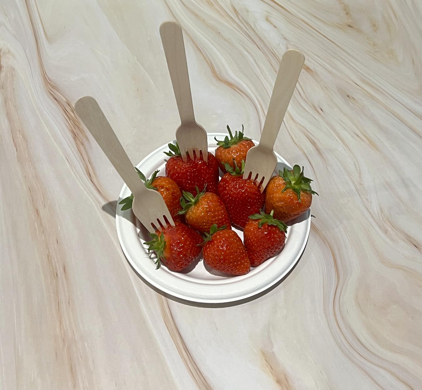 Hey Biota - Pack of 100 - Wooden Fork - Biodegradable & Plastic Free Wooden Forks - Eco Friendly, Compostable