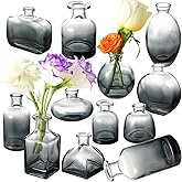 Bud Vases Set of 12, Black Clear Glass Bud Vases, Small Vases for Centerpiece Modern Flower Vases in Bulk, Mini Glass Vase for Wedding Centerpieces, Party Table Decor, Home Déco