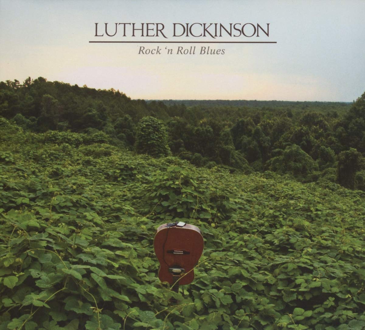 Dickinson Luther Rock N Roll Blues Amazon Com Music