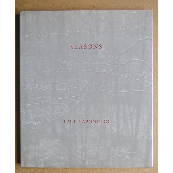 Amazon.com: Megaliths: 9780821216163: Caponigro, Paul: Books