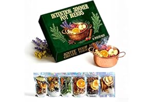RYUROP Intention Simmer Pot Blends – Reiki-Infused Natural Simmer Pot Mix with Herbs, Salt & Dried Fruit – Cozy Home Aroma & Mindful Simmer Pot Rituals for Stove or Home Décor(6 Options) (All)