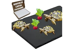 INOSCIND Extra Large 15.7 × 11.8" Reptile Basking Platform, Reptile Slate, Basking Rock, Slate Tiles Rocks for Reptiles,Terrarium Bowls for Bearded Dragon Tortoise Turtle Ball Python Snake Lizard Gecko