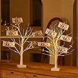 2 Pack Money Tree Gift Card Holder 24 LED Birch