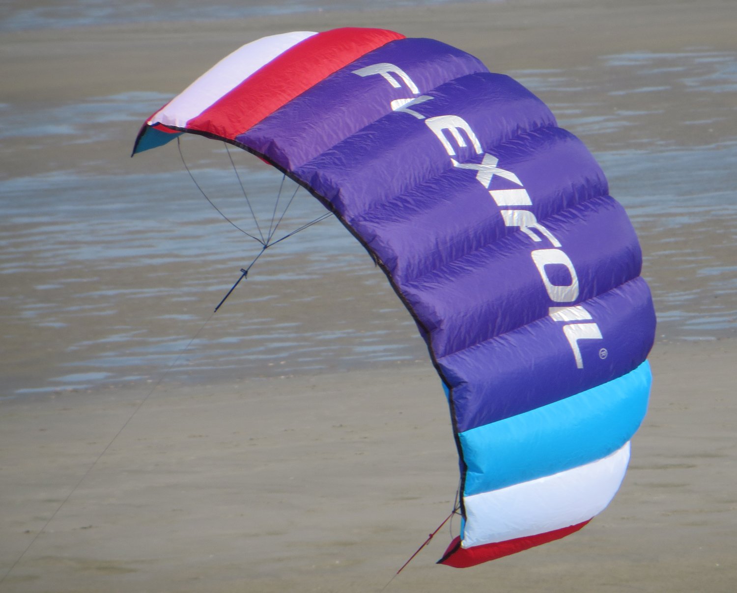 Newdora Flexifoil 2.05m Power Kite, Big Buzz Sport Foil Safe