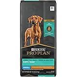 purina large athletic