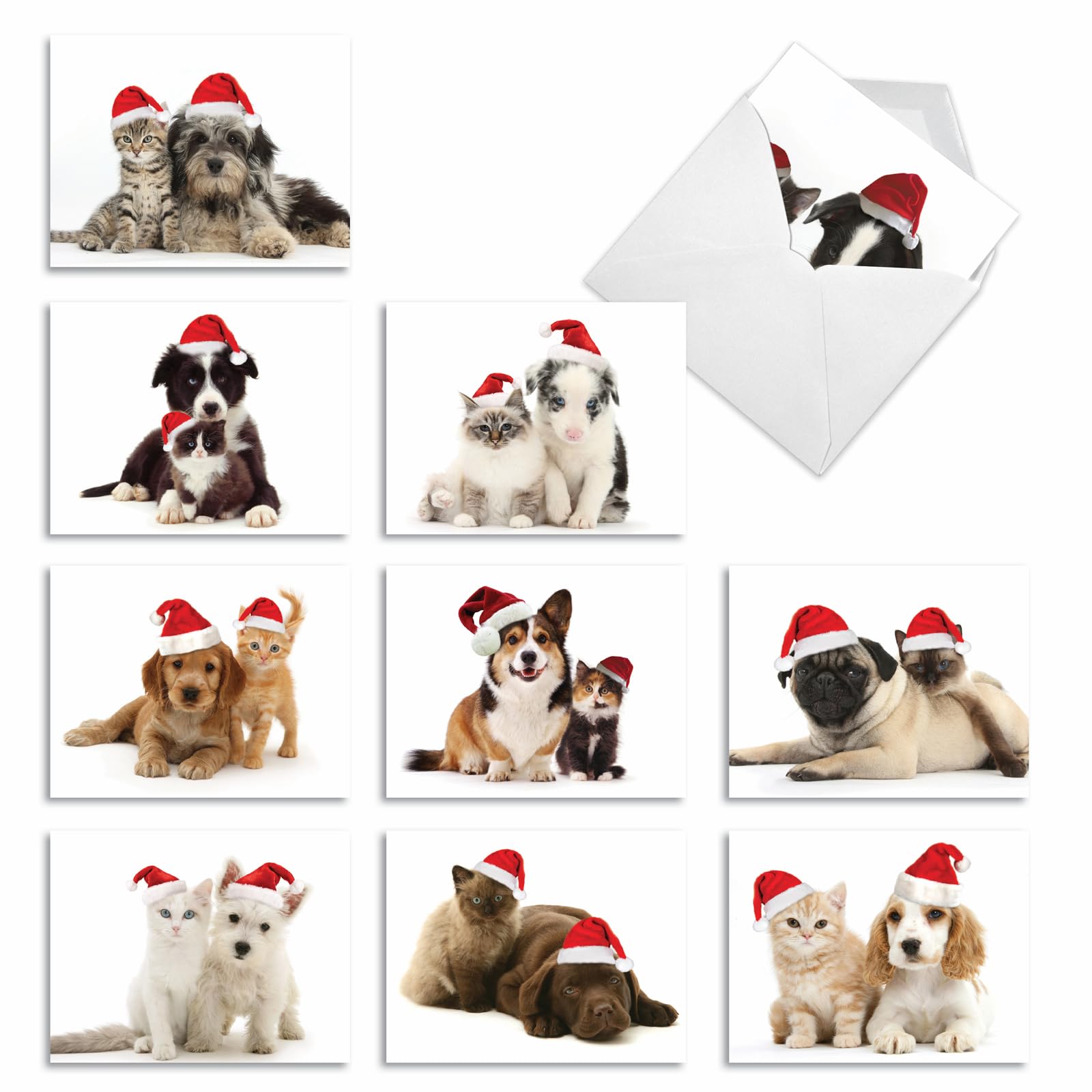 M6596XSG Christmas Copy Cats: 10 Assorted Christmas Note Cards Featuring Adorable Puppies and Kittens in Matching Santa Hats for Christmas, w/White Envelopes.