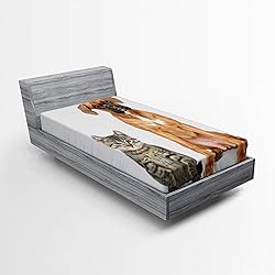 Ambesonne Boxer Dog Fitted Sheet, Photo of a Cat