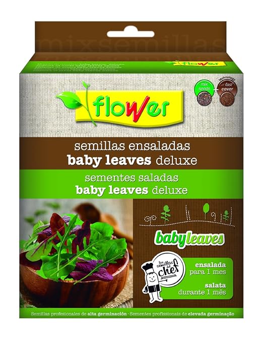 Flower 51143 Mezcla semillas ensalada, 19.0x15.0x6.5 cm: Amazon.es ...