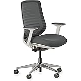 Branch Ergonomic Chair - A Versatile Desk Chair with Adjustable Lumbar Support, Breathable Mesh Backrest, and Smooth Wheels -