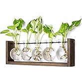 Mkono Plant Terrarium with Wooden Stand, Wall Hanging Glass Planter Desktop Plant Propagation Vase with Metal Swivel Retro Rack for Hydroponics Plants Home Office Decor (5 Bulb Vase)