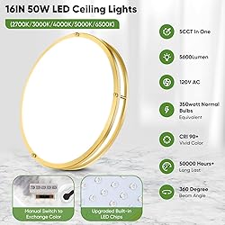 TOBUSA 16in 50W LED Flush Mount Ceiling Lights