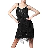 Women Salsa Latin Dance Dress Sequin Tassel Fringe Flapper Dress 1920s Gatsby Cocktail Dress Tango Ballroom Dancing Costume