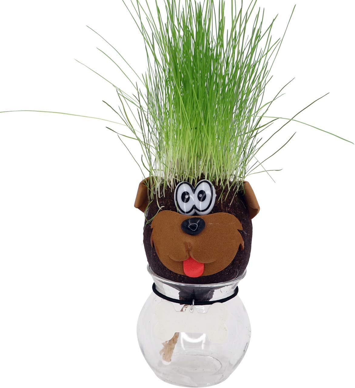 AvoSeedo Grass Head - Funny Fast Growing Grass Head Learning Toy for Kids (Dog)