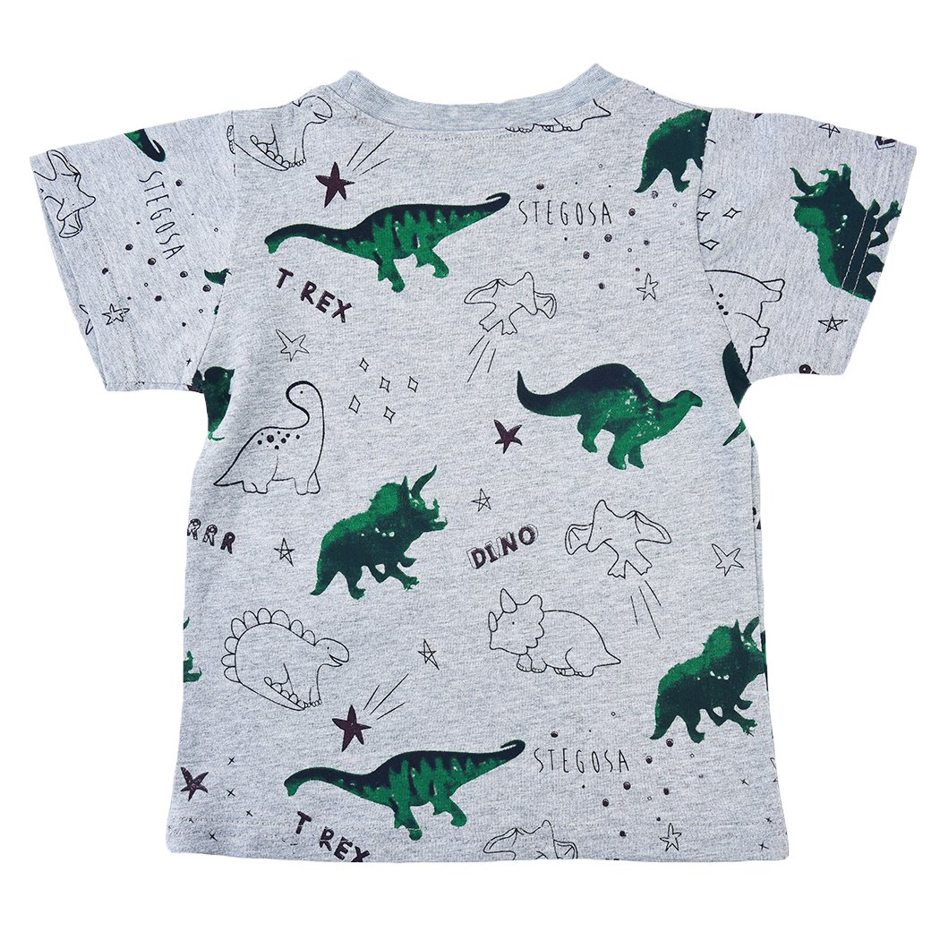 DDSOL Little Boys Toddler Jurassic Dinosaur T Short Sleeve Tee Cartoon T Shirt
