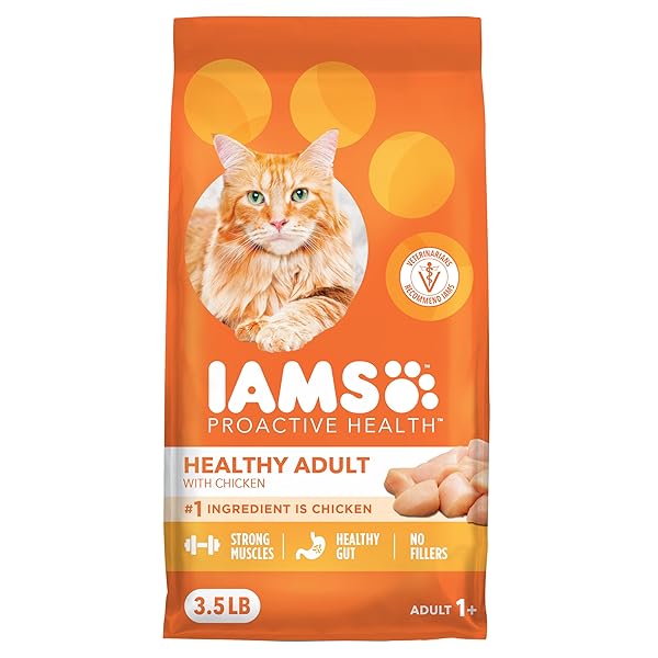 IAMS PROACTIVE HEALTH DRY CAT FOOD, HEALTHY CAT FOOD DRY RECIPE FOR ADULTS, WITH CHICKEN 3.5 LB. BAG