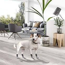 EXPAWLORER Anti Slip Dog Socks to Prevent Licking