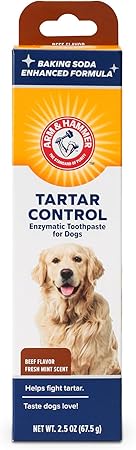 arm & hammer dog toothpaste