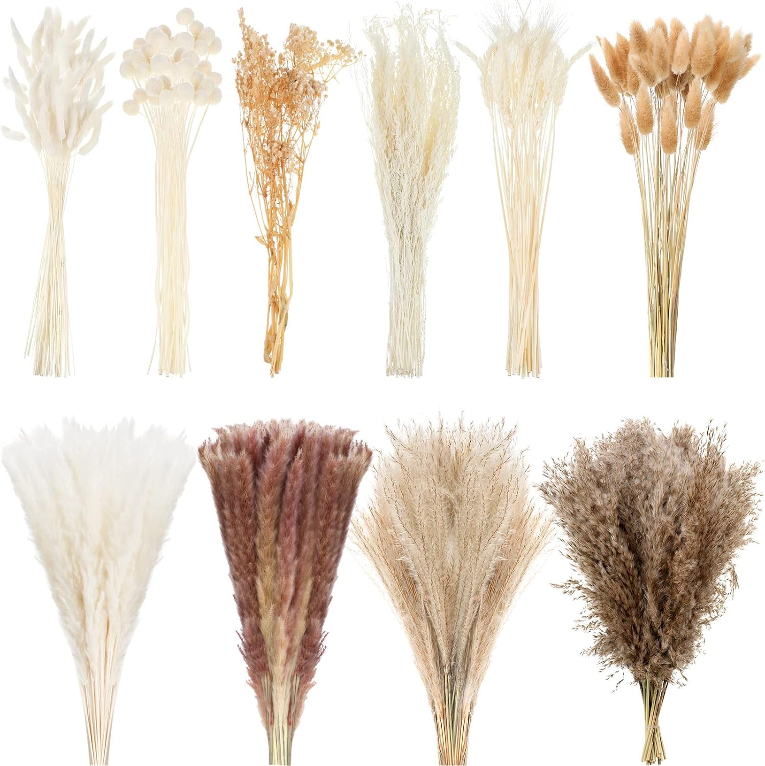 Dried & Preserved Flora - 324 Pcs Dried Pampas Grass Decor Bulk 17 Inch White Pampas Reed Grass Fluffy Pampas Grass Tall 10 Various Natural Dried Flower Bouquet Original Bunny Tails for Home Table Wedding Party Boho Decor