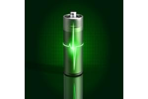 Fast Battery Charger