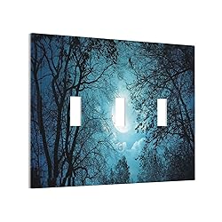 Spshian Light Switch Cover Teal Full Moon Forest 3