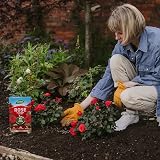 Topline Rose Plant Feed & Protect Bundle 3kg + 2x500ml Concentrate view 8