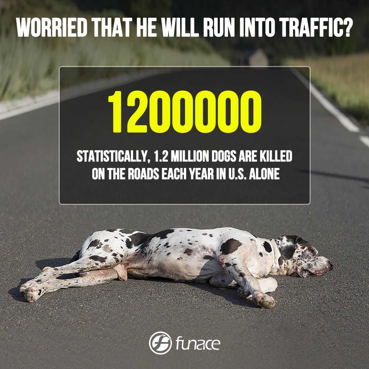 Amazoncom Underground Wired Pet Containment System Advanced