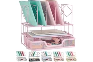 gianotter office catalog racks, Desk Organizers and Accessories, Magazine File Holder for Office Supplies Desk Organizer with 5 Vertical Compartments (Pink)