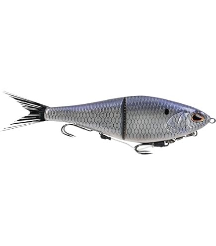 Amazon.com : Shimano CURADO 200 M Low Profile Reels (CU201M) Fishing : Sports & Outdoors Amazon.com : Shimano CURADO 200 M Low Profile Reels (CU201M) Fishing : Sports & Outdoors