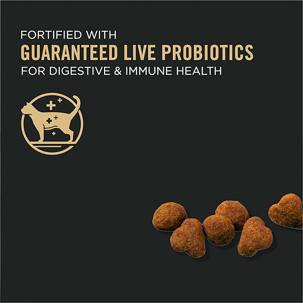 PURINA PRO PLAN SENIOR CAT FOOD WITH PROBIOTICS FOR CATS, CHICKEN AND RICE FORMULA – 3.2 LB. BAG