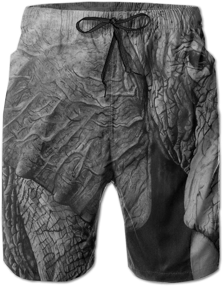 Ladkingq Mens Beach Shorts African Elephant Print Swim
