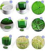 CHICIRIS Seed Sprouter Bean Sprouts Machine 360° Sprayer 220V UK view 6