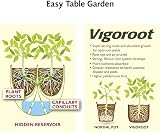Haxnicks Vigoroot Easy Table Garden Self Watering Raised Bed Planter view 7
