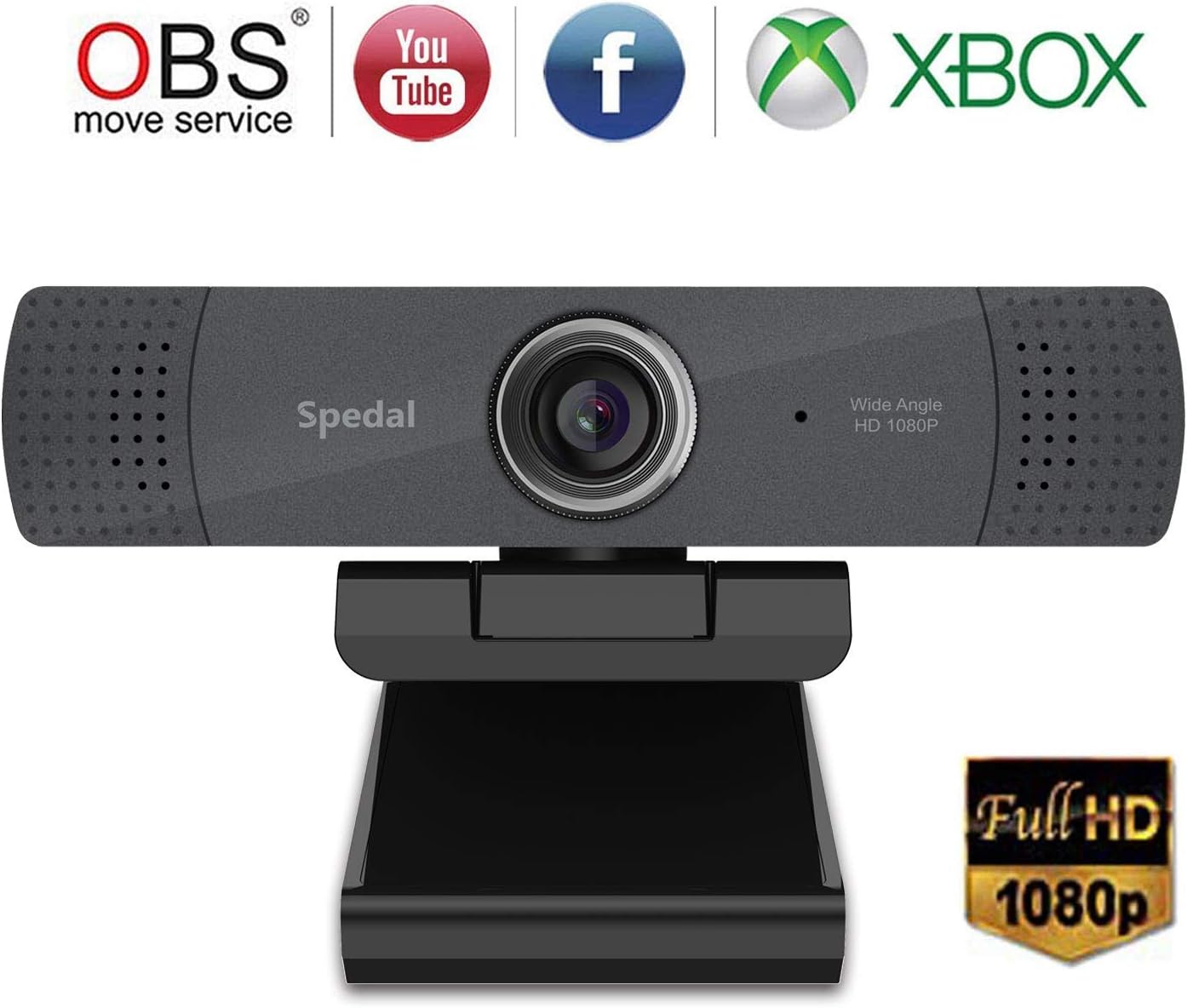 HD cam 1080P, Streaming  Camera with Dual Microphones