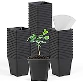 June Fox Square Nursery Pots 3.3 Inches Flexible Plastic Seedling Pots Square Pots for Plants, Succulent, Flower, Pack of 60, with 60 PCS Plant Labels
